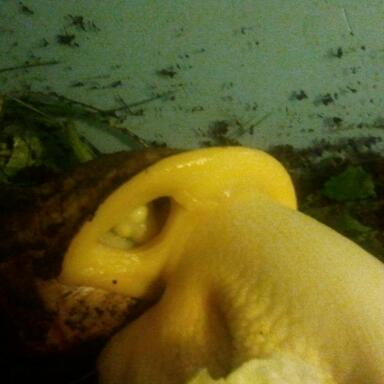 2011-10-22 17.20.37-1.jpg