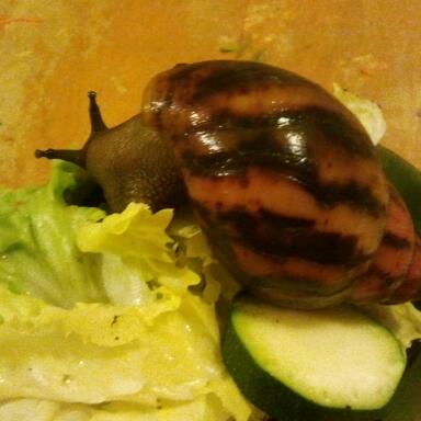 2011-10-27 20.11.53-1.jpg