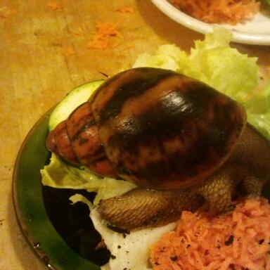 2011-10-27 20.13.28-1.jpg