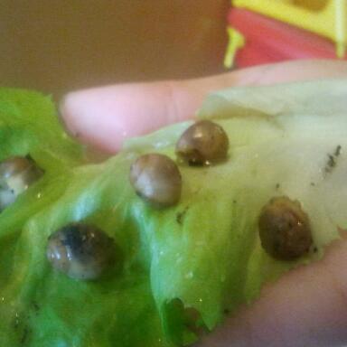 2011-11-01 10.07.44-1.jpg