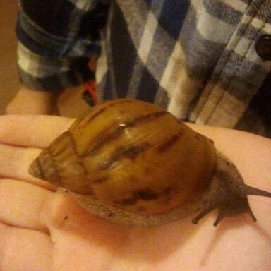 2011-10-27 19.39.23-1.jpg