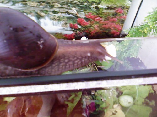 SP_A0070.jpg