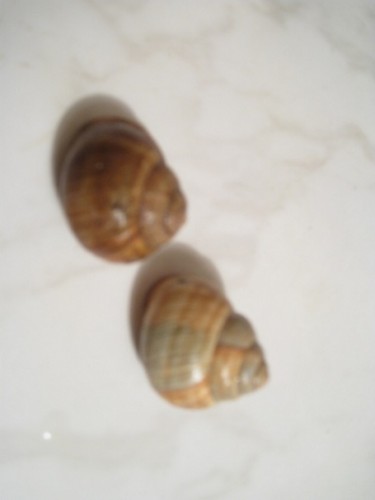 vergleich helix.jpg