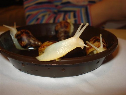 DSC03595 (Klein).JPG