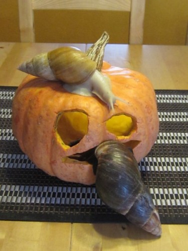 31.10.2011, Halloweenhelfer.jpg