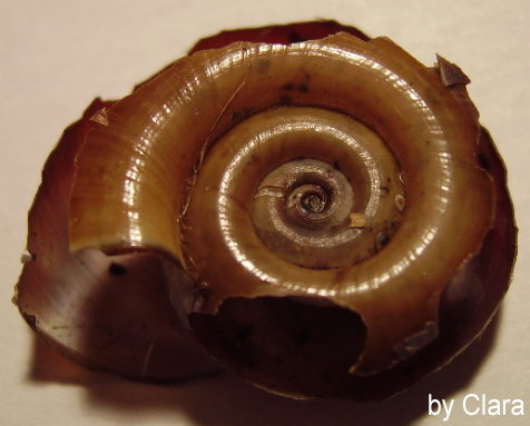 PICT0266.JPG