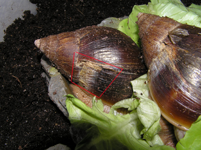 PC101339 Kopie.jpg