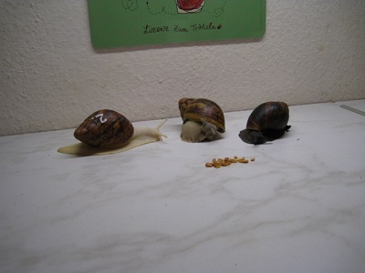 sssssss 021.jpg