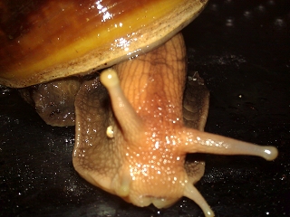 k-WP_000587.jpg