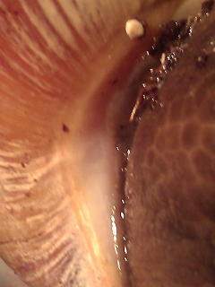 k-WP_000581.jpg