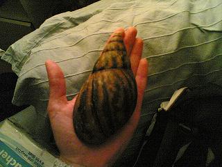 03022012.jpg