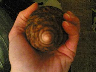 03022012(004).jpg