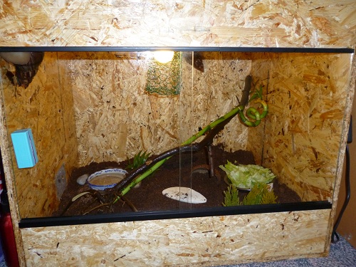 fotos 002 - Kopie.JPG