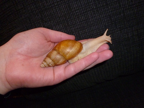 fotos 003 (2) - Kopie.JPG