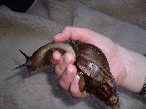 P1000087 - Kopie.JPG