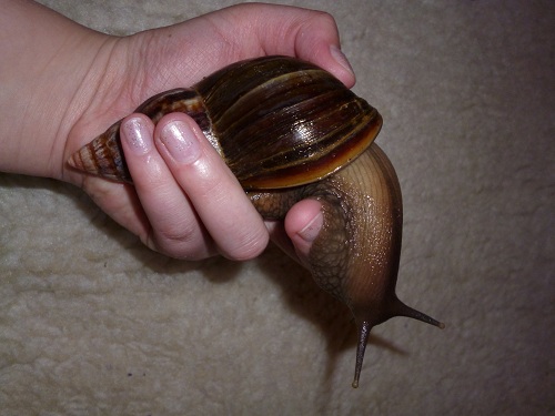 P1000309 - Kopie.JPG