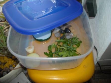 Winterwonderland 032.jpg