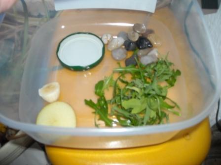 Winterwonderland 033.jpg