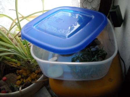 Winterwonderland 034.jpg