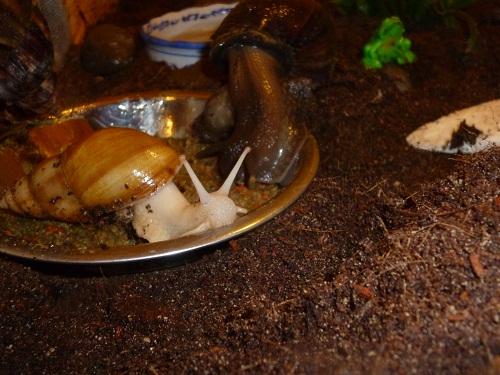 heute 229 - Kopie.JPG