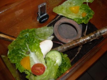 Winterwonderland 093.jpg