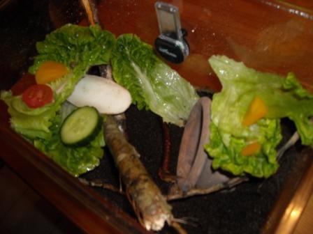 Winterwonderland 094.jpg