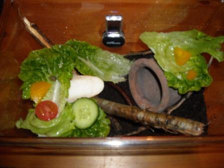 Winterwonderland 095.jpg