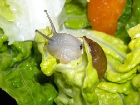 yummy.jpg