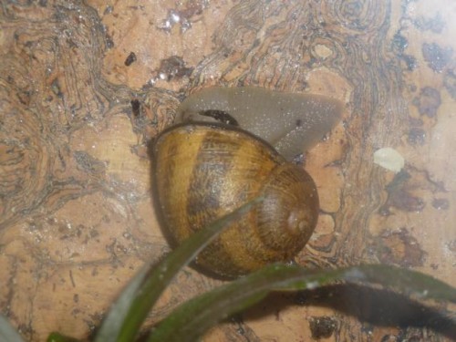 K640_märz 2012 072.JPG