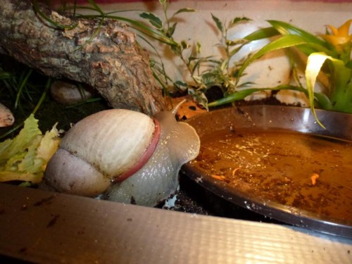 K800_märz 2012 065.JPG