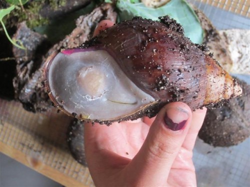 IMG_2730 (Small).JPG