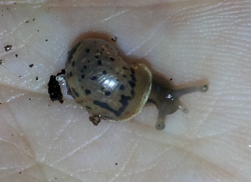20120428_203350.jpg