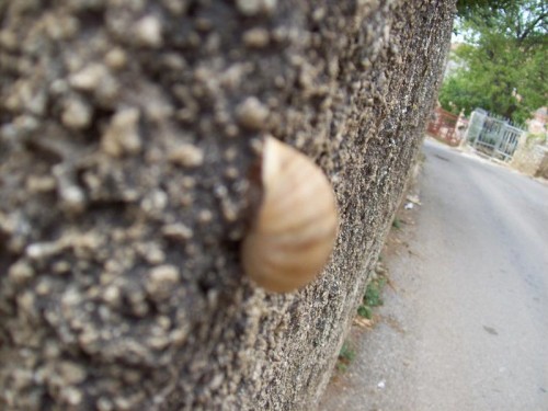 100_3678.jpg