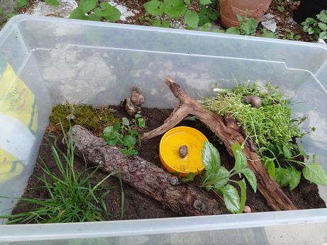 Bilder 2009 5125.jpg