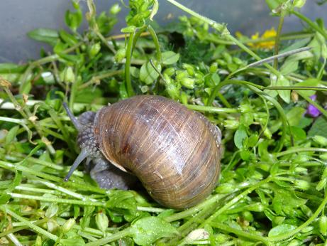 Bilder 2009 5127.jpg