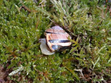 Bilder 2009 5130.jpg