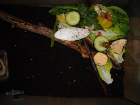 schneggi060512 026.jpg