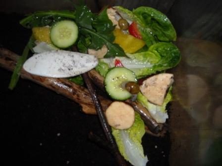 schneggi060512 027.jpg