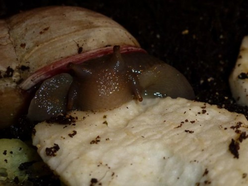 K800_ordner12 007.JPG