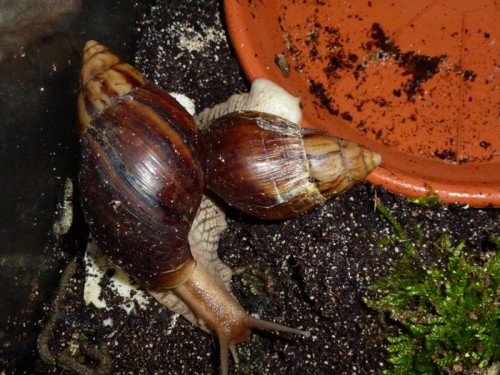 K800_ordner12 010.JPG