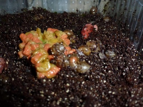 K800_ordner12 056.JPG