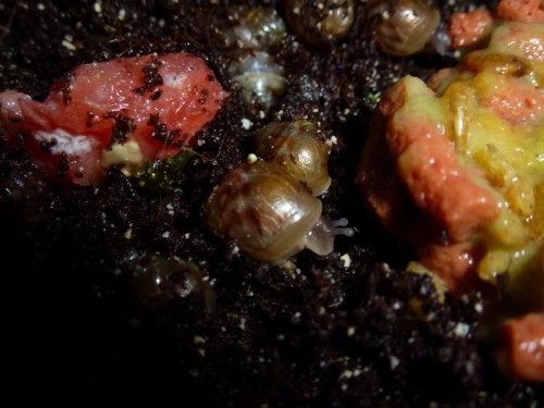 K800_ordner12 057.JPG