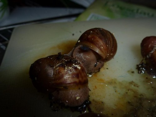 K800_ordner12 014.JPG