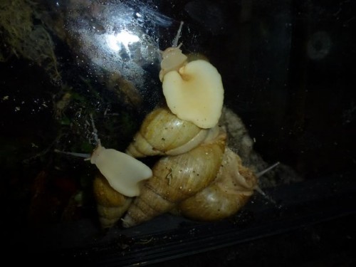 K800_ordner12 043.JPG