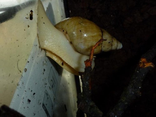 K800_ordner12 045.JPG