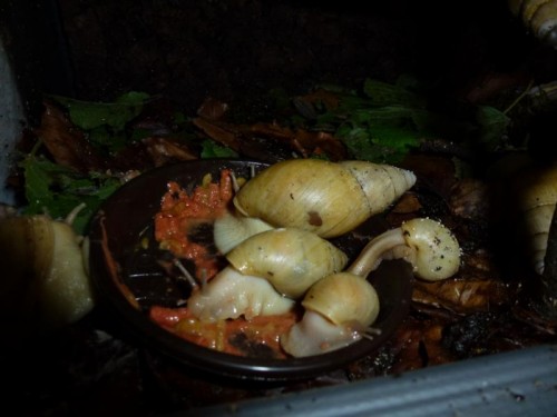 K800_ordner12 050.JPG