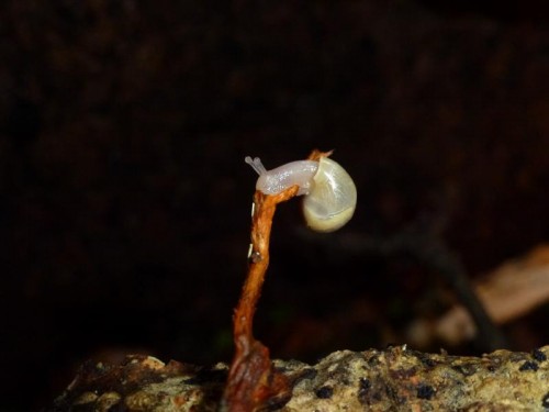 K800_ordner12 044.JPG