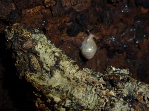 K800_ordner12 046.JPG