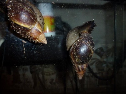 K800_ordner12 062.JPG