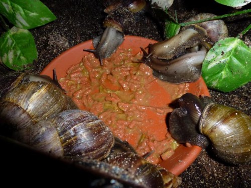 K800_ordner12 063.JPG